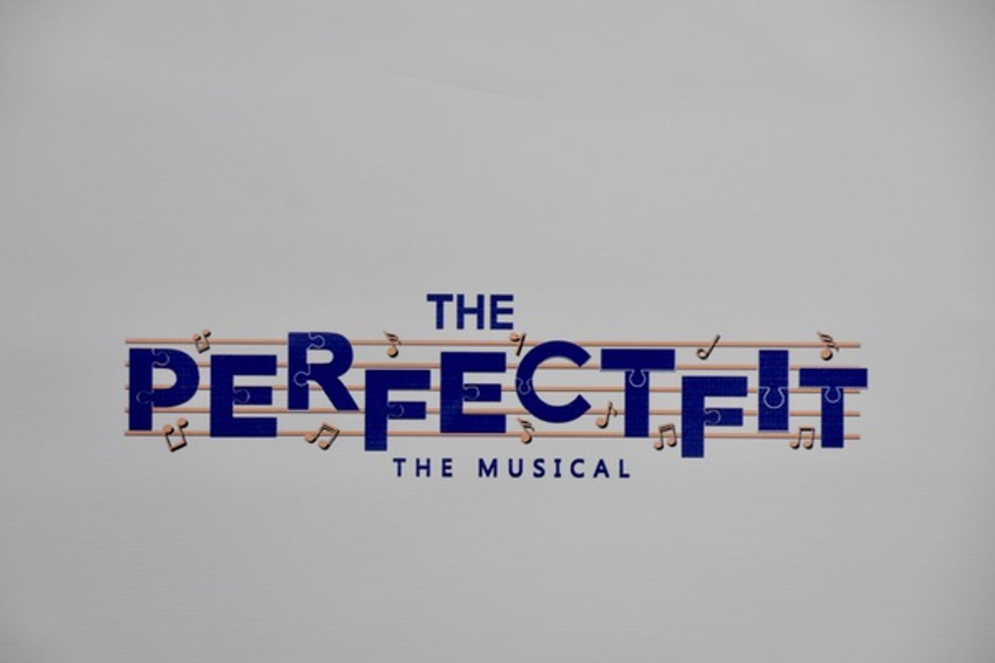 Photo Coverage: THE PERFECT FIT Celebrates Opening Night  Image