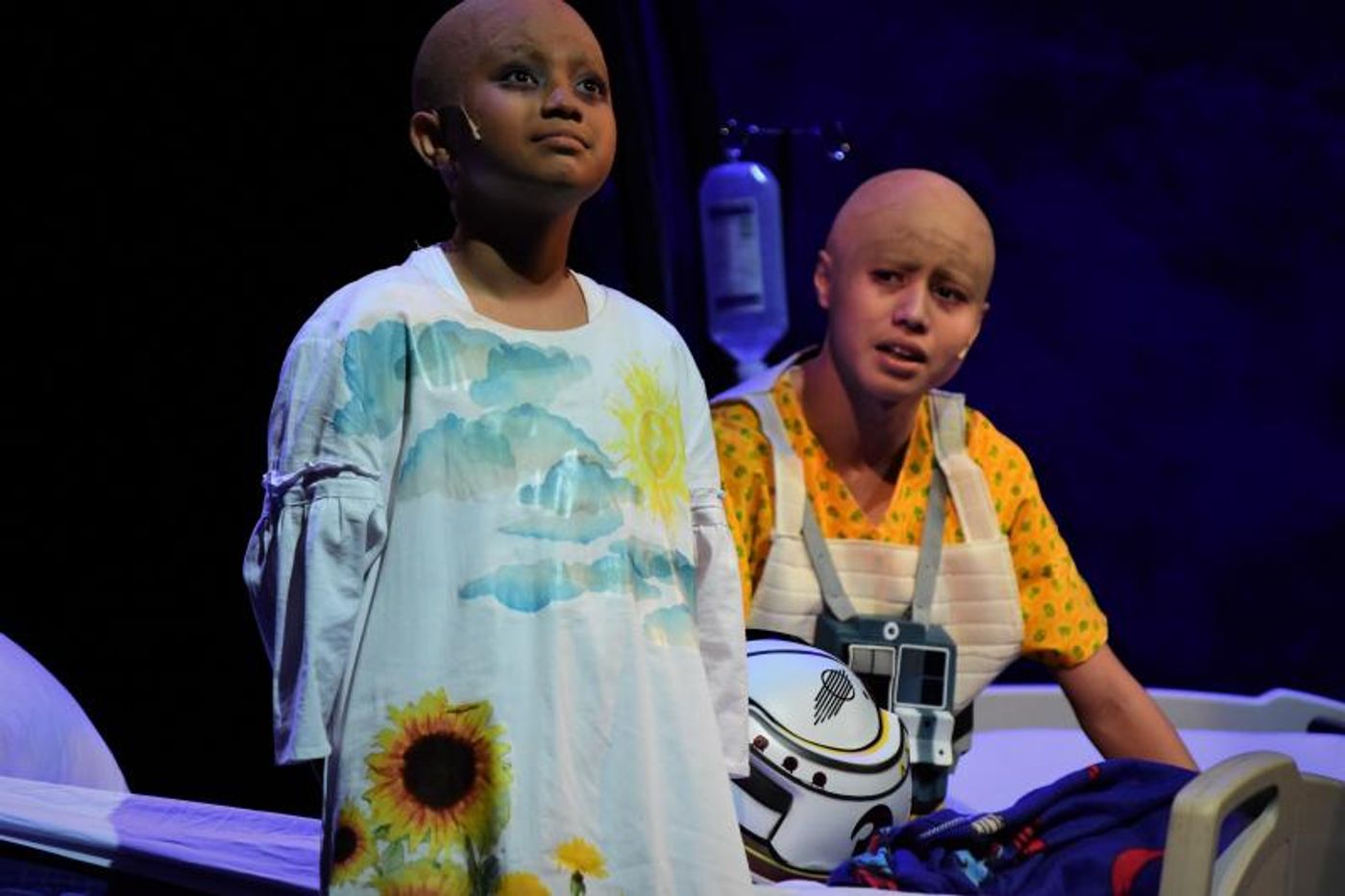 Photo Coverage: DANI GIRL Returns to the Stage; Show Runs Now Thru Sept. 1  Image