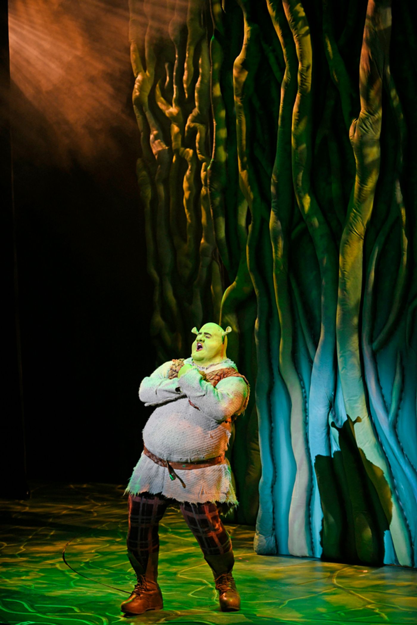 Photo Flash: First Look at 3-D Theatricals' SHREK THE MUSICAL  Image