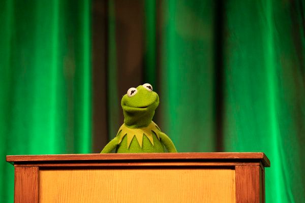 Kermit the Frog Photo