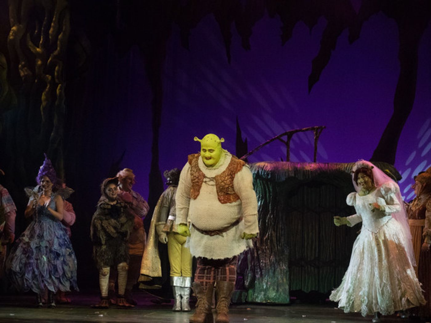 Photo Coverage: Curtain Call And Meet And Greet Of 3-D Theatricals' SHREK Photo Coverage: Curtain Call And Meet And Greet Of 3-D Theatricals' SHREK Image