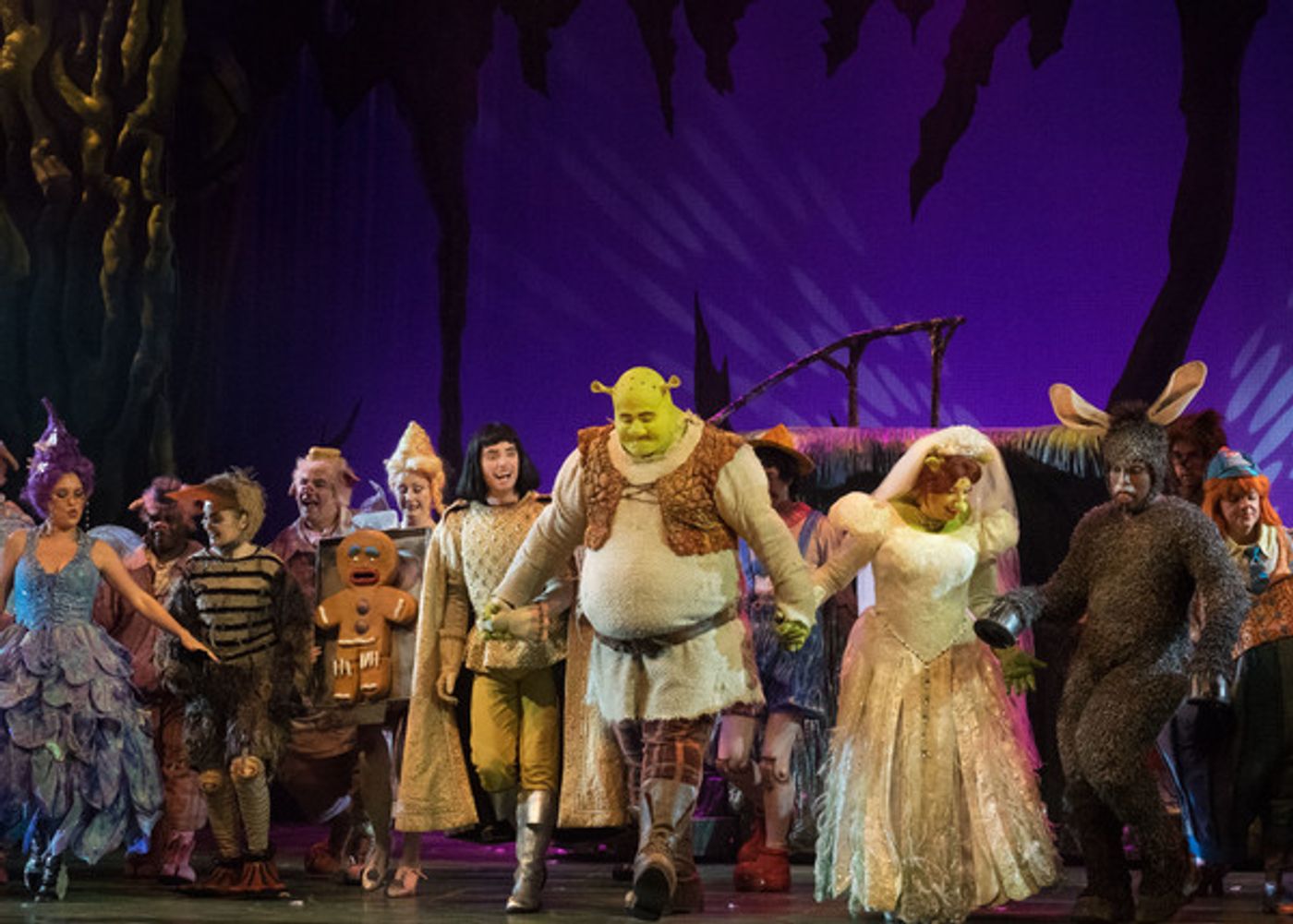 Photo Coverage: Curtain Call And Meet And Greet Of 3-D Theatricals' SHREK Photo Coverage: Curtain Call And Meet And Greet Of 3-D Theatricals' SHREK Image