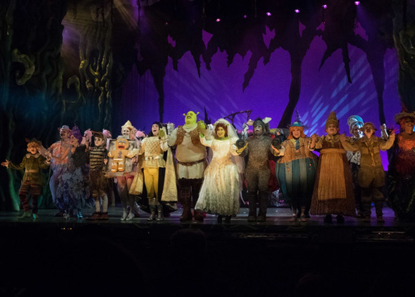 Photo Coverage: Curtain Call And Meet And Greet Of 3-D Theatricals' SHREK Photo Coverage: Curtain Call And Meet And Greet Of 3-D Theatricals' SHREK Image