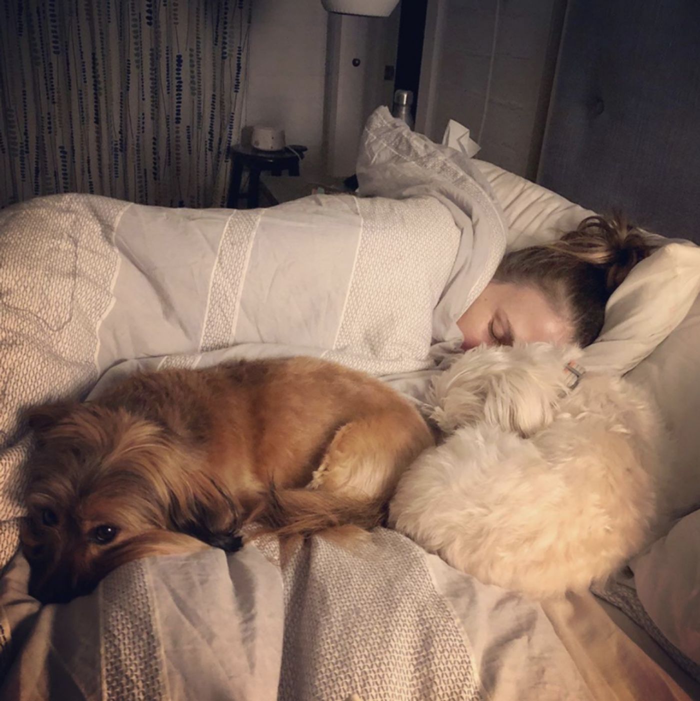 Interview: Checking In with YOUNGER, THE MUSIC MAN Star Sutton Foster on National Dog Day!  Image