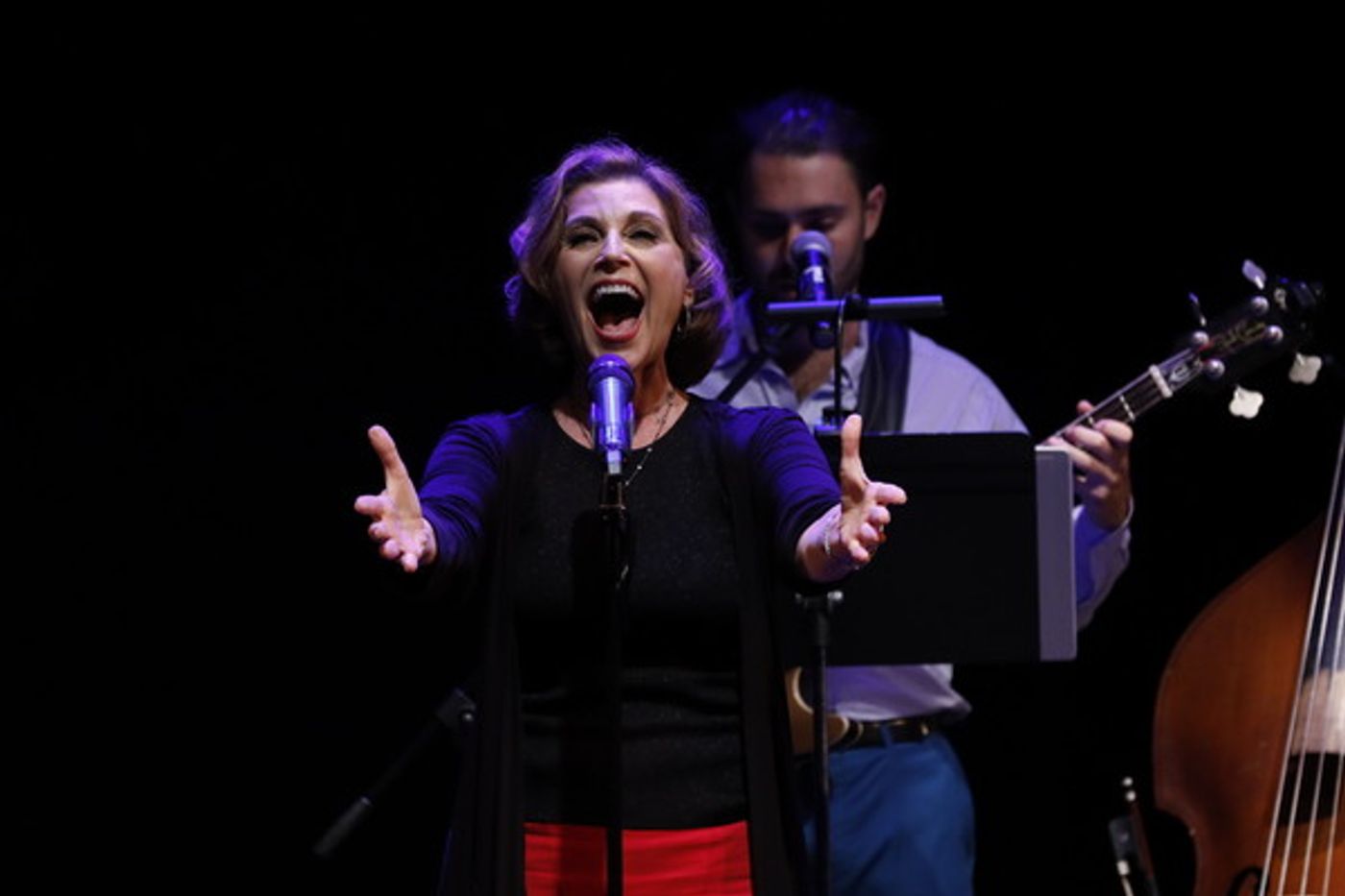 Photo Flash: Valerie Perri and Jack & Benny Lipson Present ALL IN THE FAMILY At the Rubicon Theatre  Image