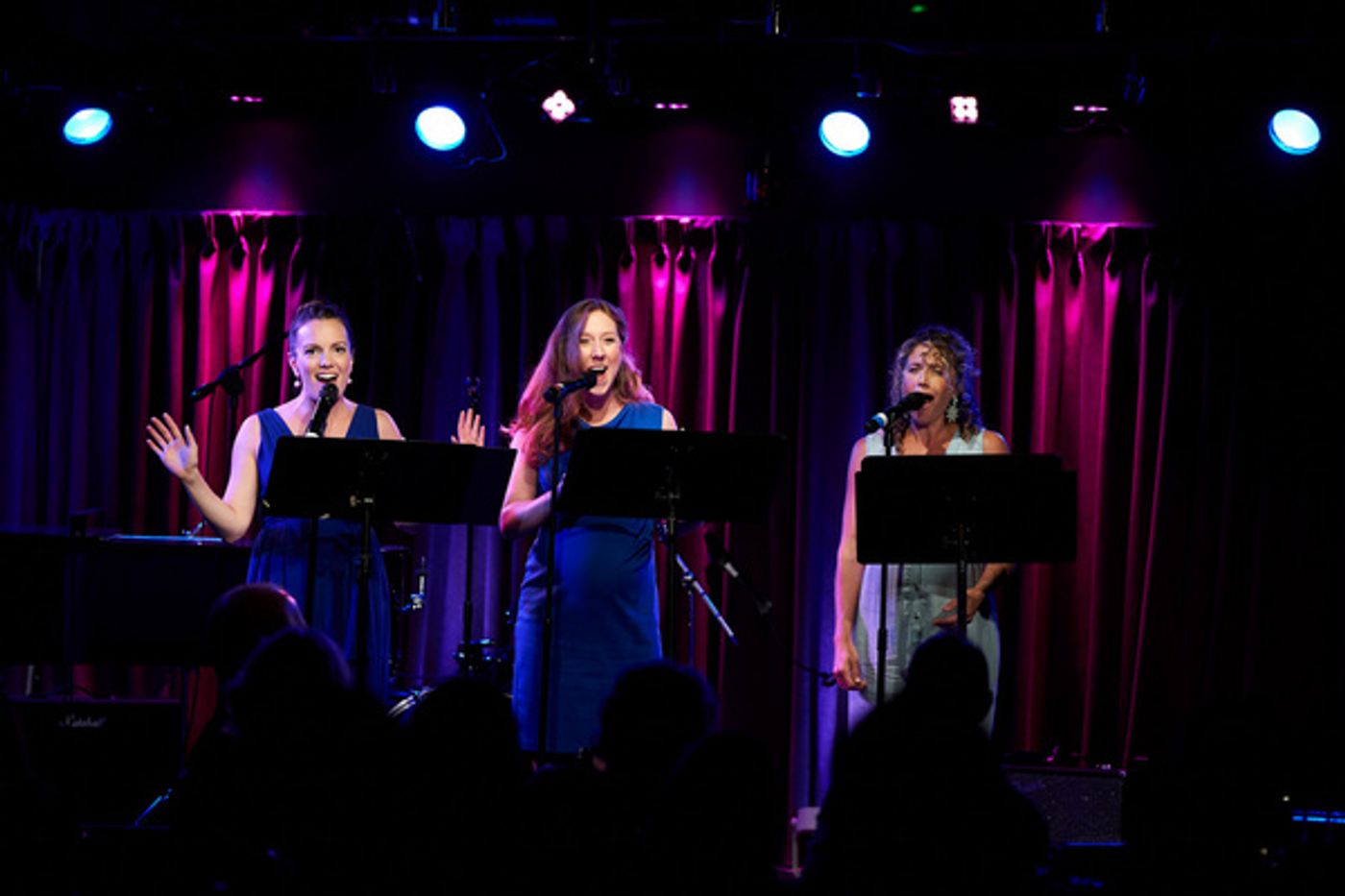 Photo Flash: Kara Lindsay, Ilana Levine, and More Perform in CHANGEMAKERS Concert  Image