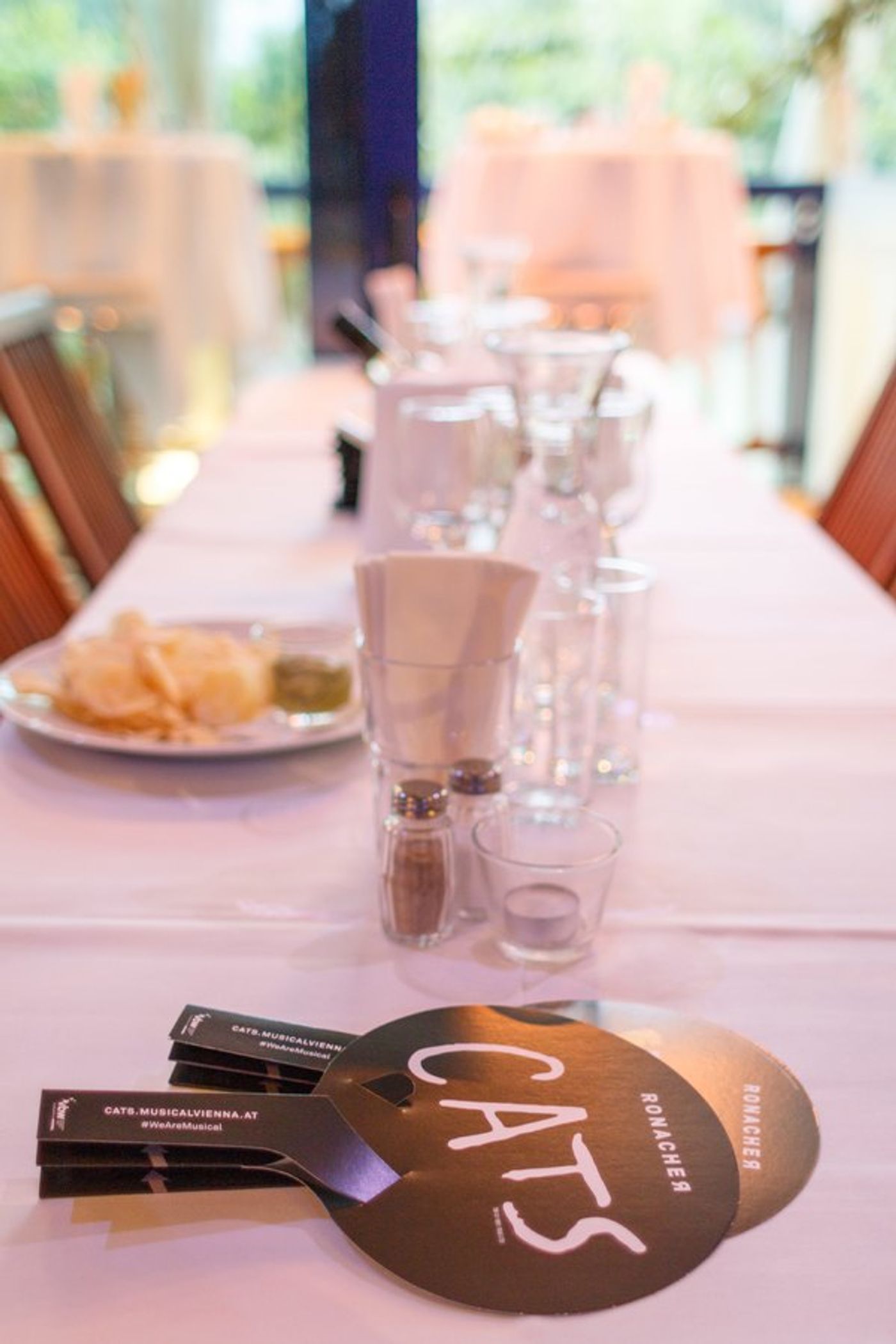 Feature: SEASON OPENING at Summerstage Vienna  Image