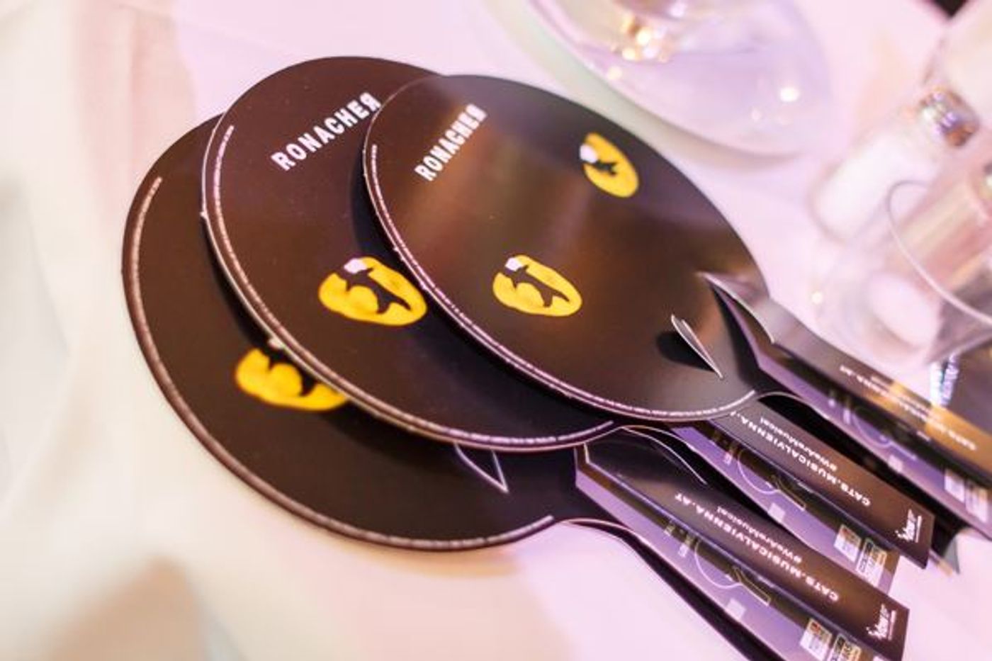 Feature: SEASON OPENING at Summerstage Vienna  Image