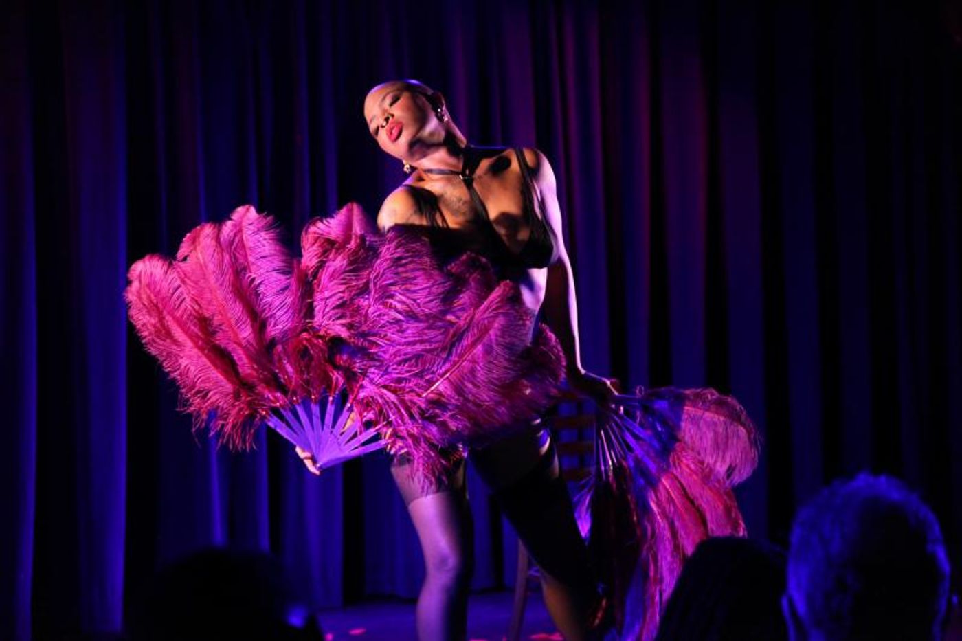 Review: HOUSE OF NOIRE Burlesque Sets The Laurie Beechman Theatre Ablaze  Image