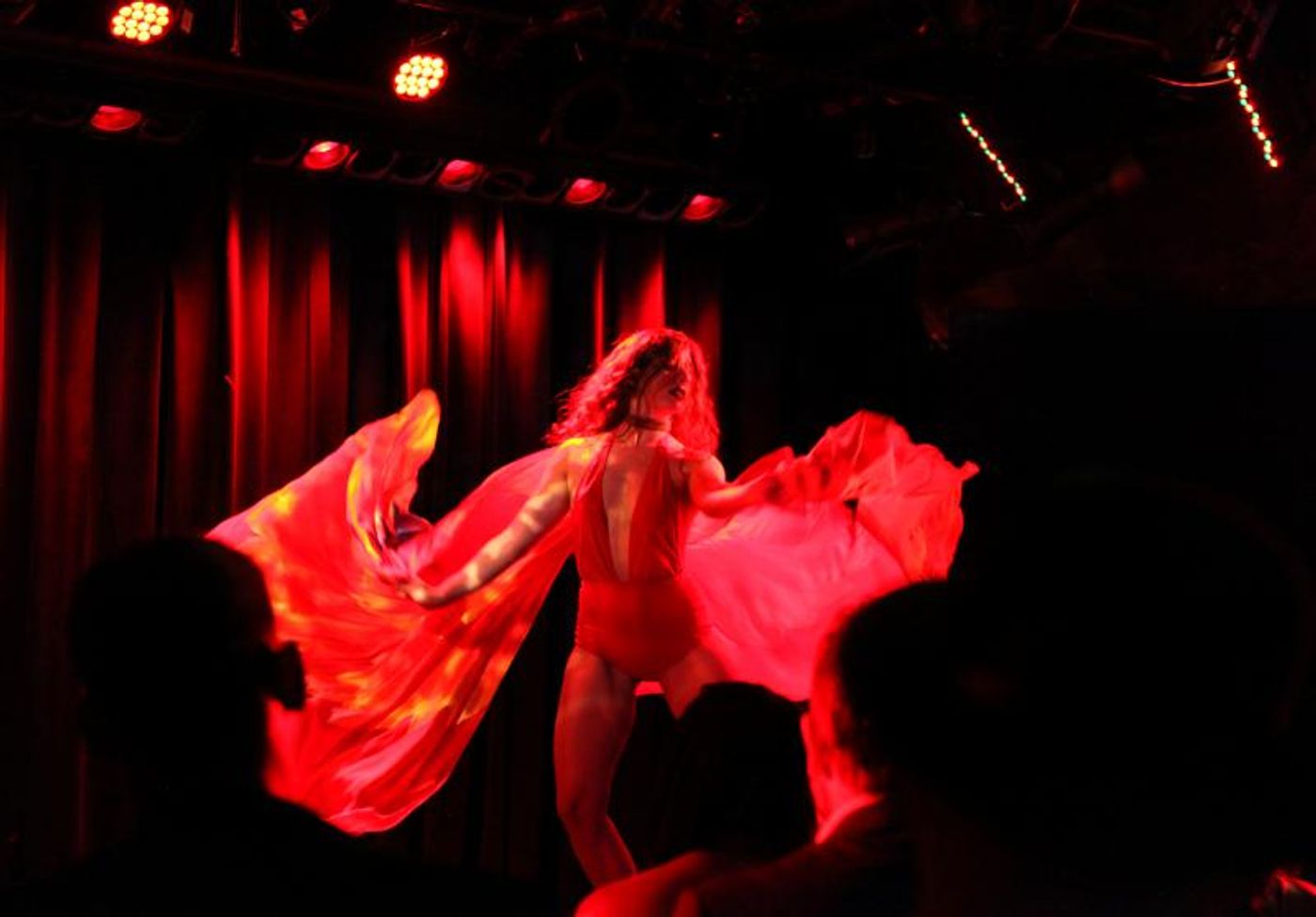Review: HOUSE OF NOIRE Burlesque Sets The Laurie Beechman Theatre Ablaze  Image