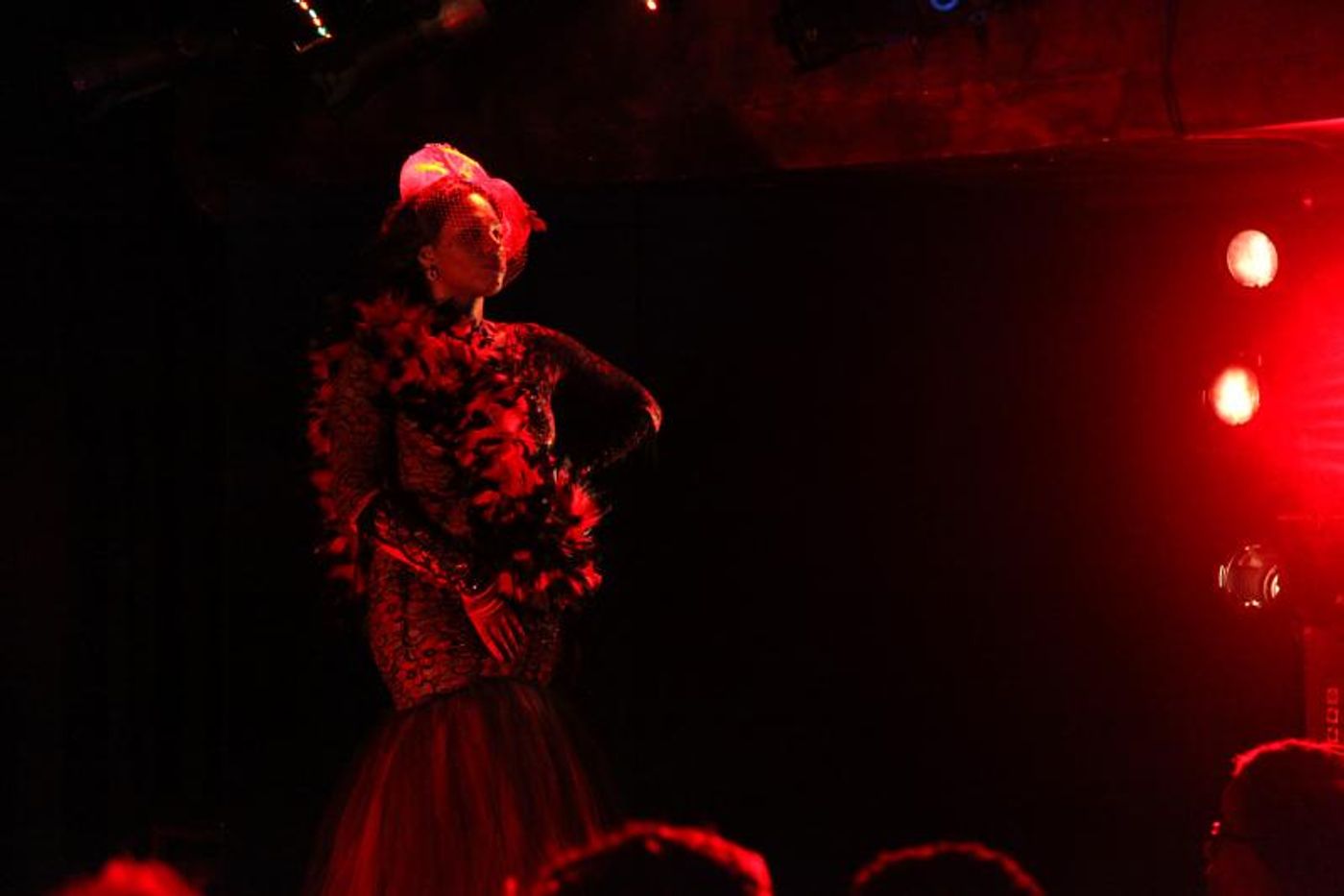 Review: HOUSE OF NOIRE Burlesque Sets The Laurie Beechman Theatre Ablaze  Image
