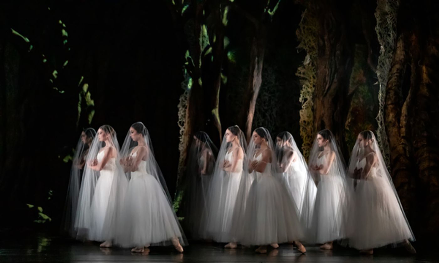Photo Flash: First Look at Houston Ballet's GISELLE Photo Flash: First Look at Houston Ballet's GISELLE Image