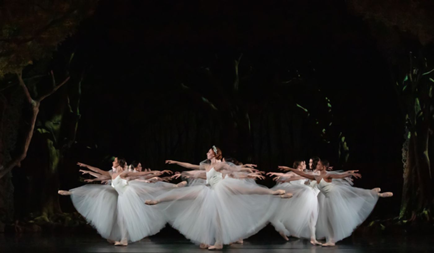 Photo Flash: First Look at Houston Ballet's GISELLE Photo Flash: First Look at Houston Ballet's GISELLE Image