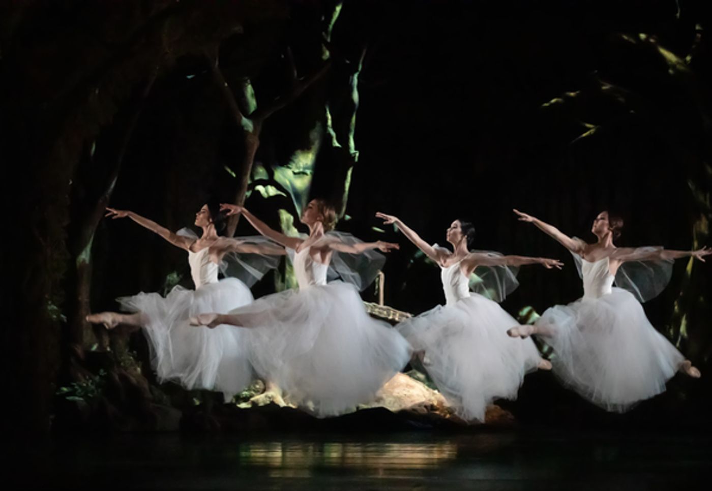 Photo Flash: First Look at Houston Ballet's GISELLE Photo Flash: First Look at Houston Ballet's GISELLE Image