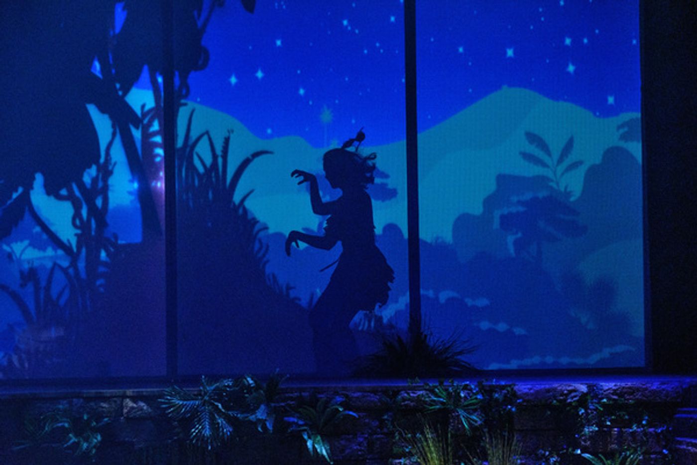 Photo Flash: First Look at ZACH Theatre's JUNGALBOOK  Image