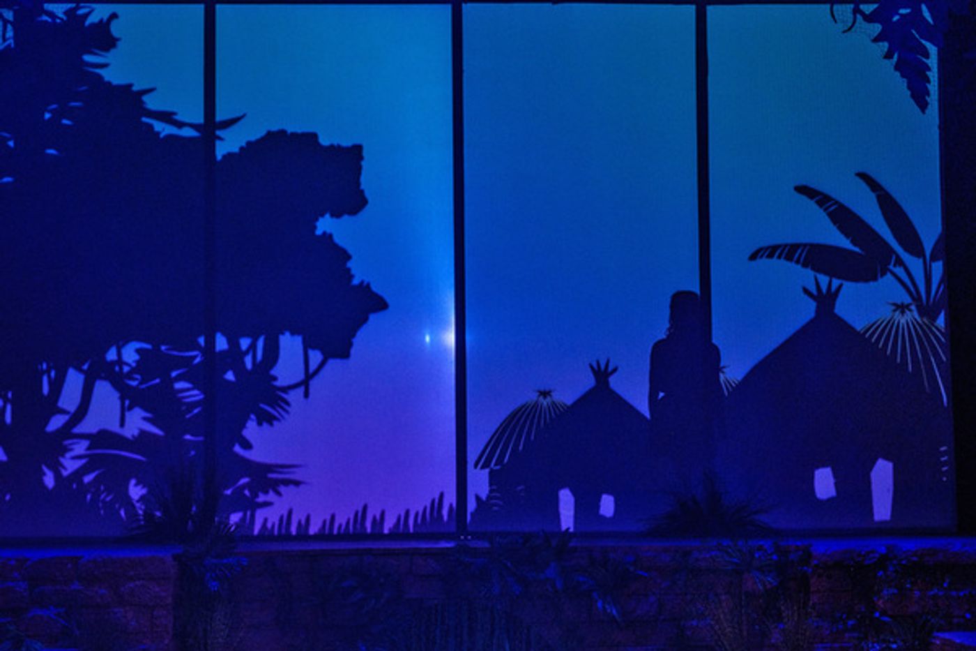 Photo Flash: First Look at ZACH Theatre's JUNGALBOOK  Image