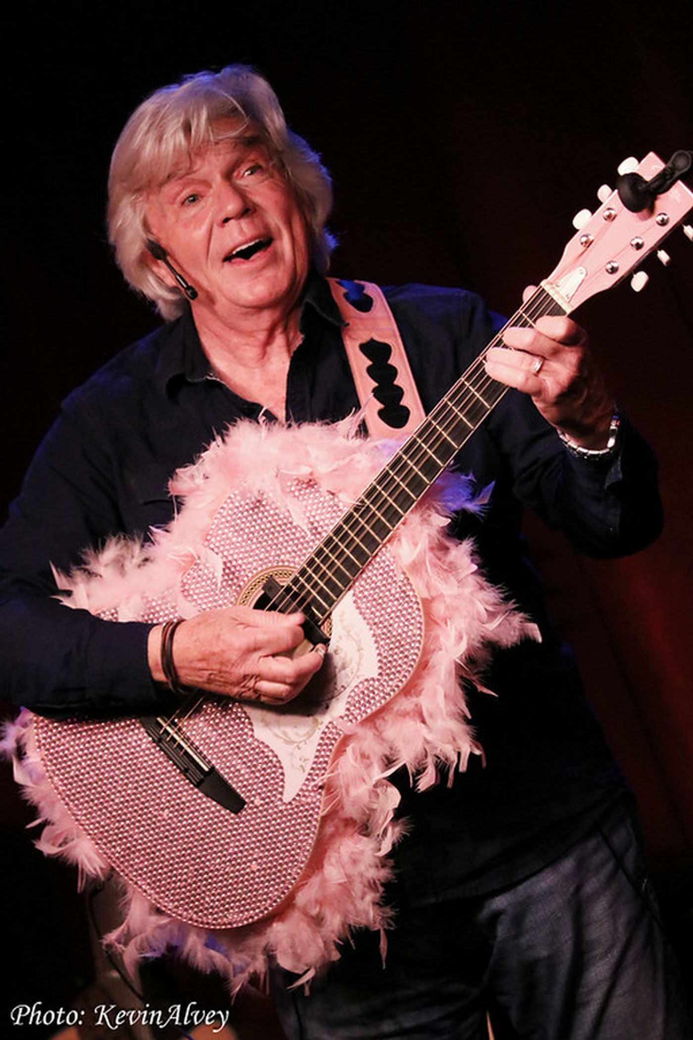 Photo Flash: John Davidson Returns To Birdland With TROUBADOR  Image