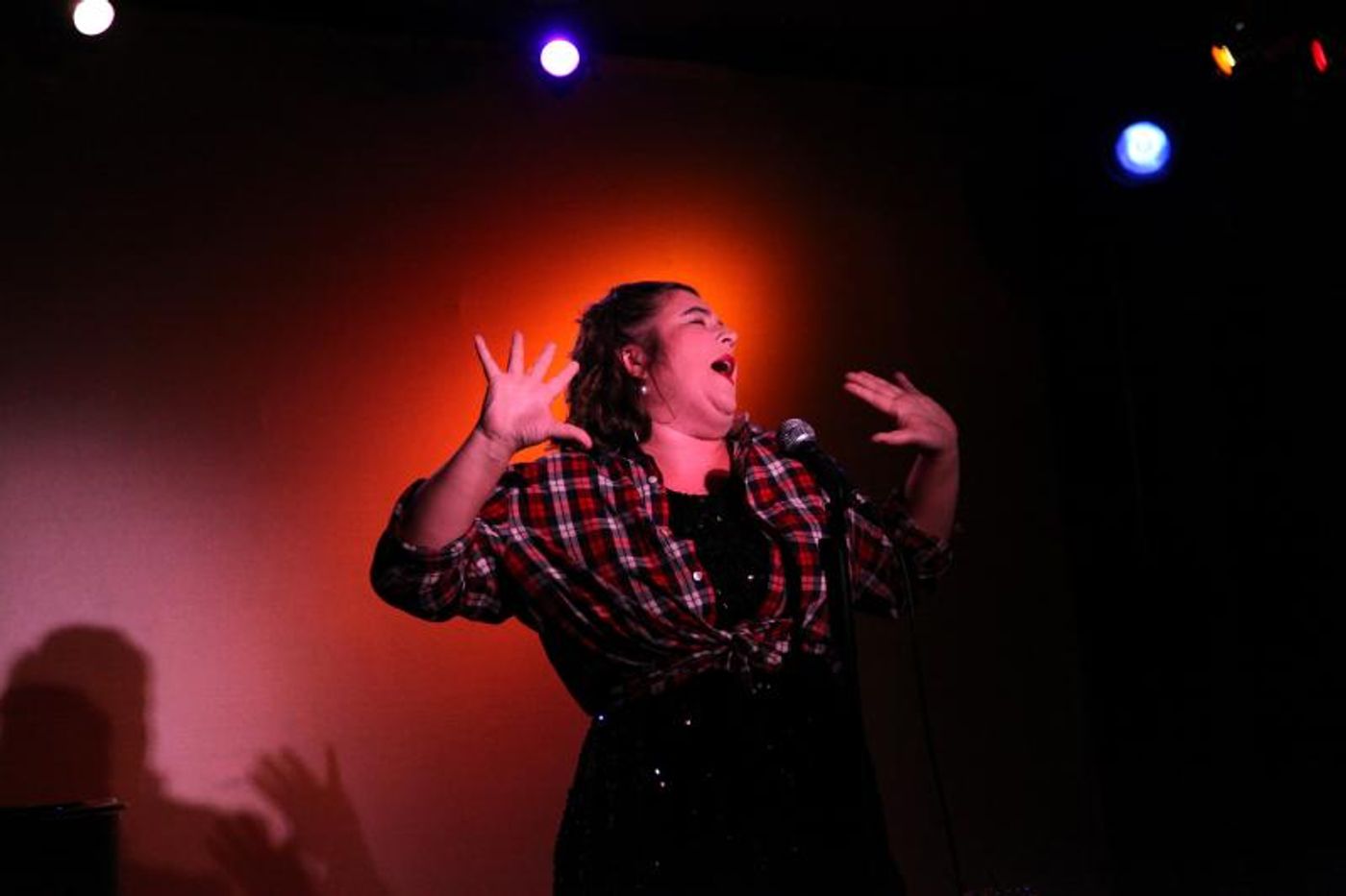 Review: LENA MOY-BORGEN: GLAM GIRL IN A GRUNGE WORLD Presents Perfection at Don't Tell Mama  Image