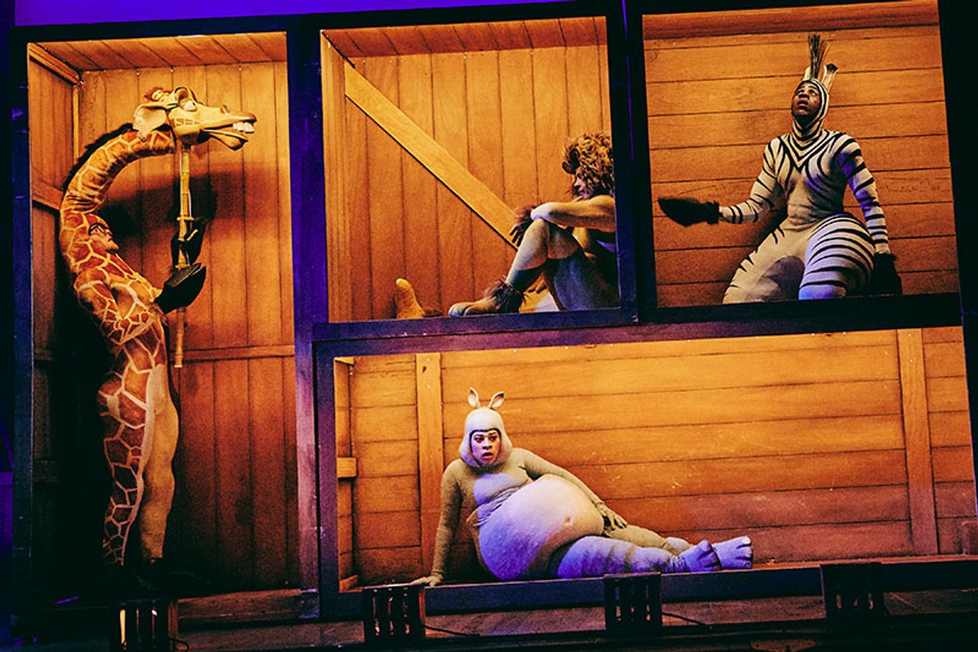 Review: MADAGASCAR THE MUSICAL at HKAPA  Image