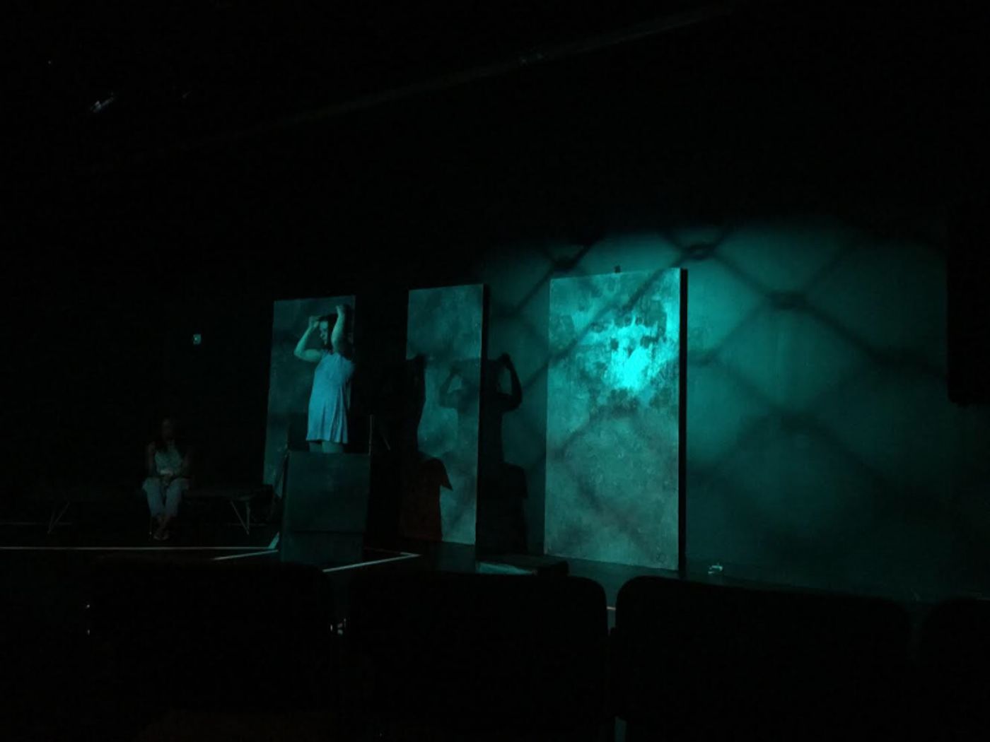 Review: SURFACING: AN INVENTORY OF HELPLESSNESS at ExPats Theatre Review: SURFACING: AN INVENTORY OF HELPLESSNESS at ExPats Theatre Image