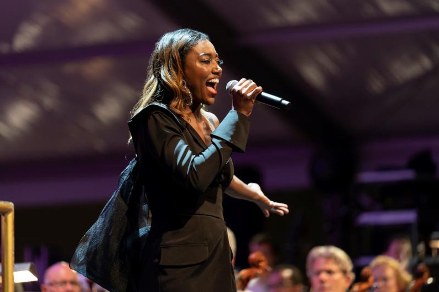 BWW News: Some of the Many Reasons why the ALAN MENKEN AND BROADWAY STARS Concert took us to A Whole New World  Image