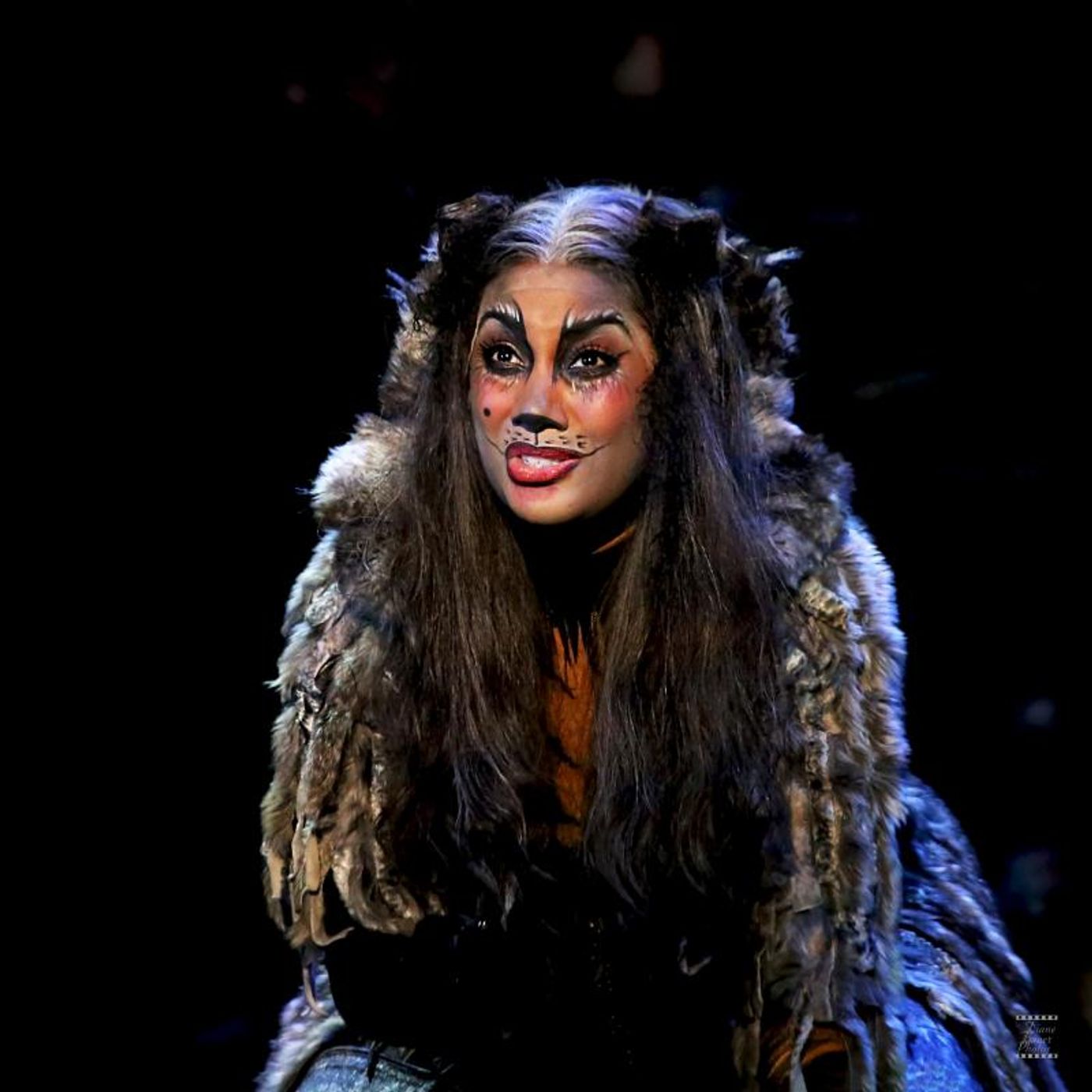 Review: CATS PRESS CALL at Ronacher Theater Wien Review: CATS PRESS CALL at Ronacher Theater Wien Image