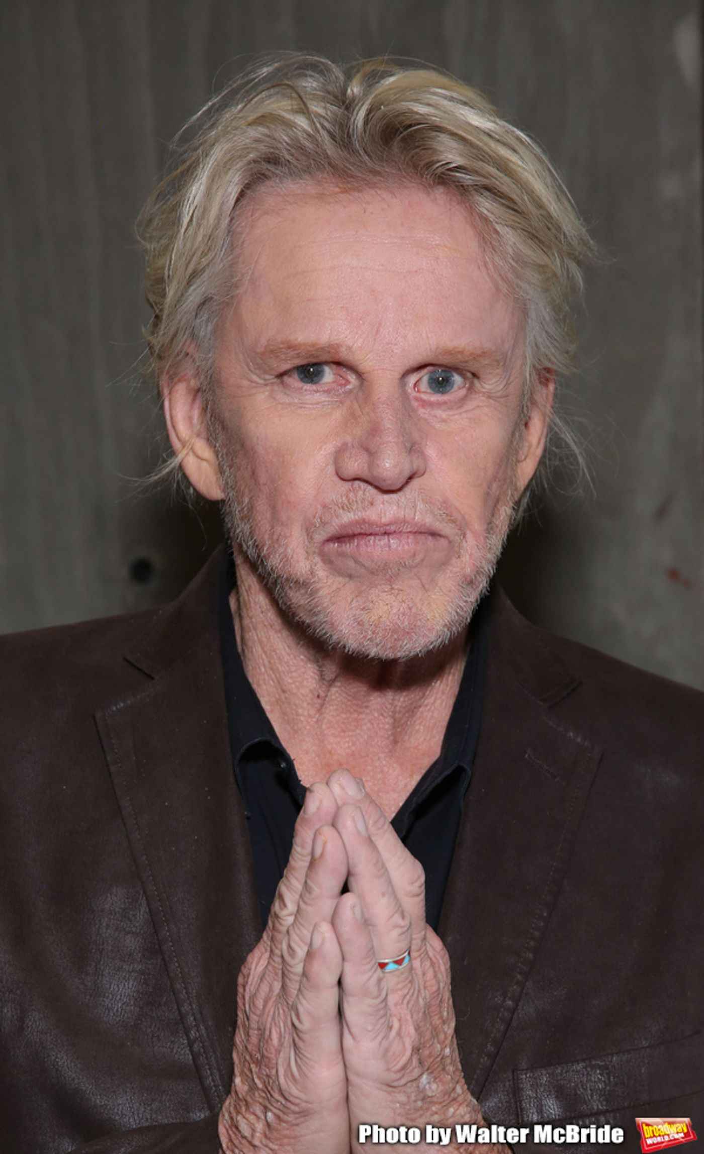 Photo Coverage: Meet the Cast of ONLY HUMAN, Led By Gary Busey as God  Image