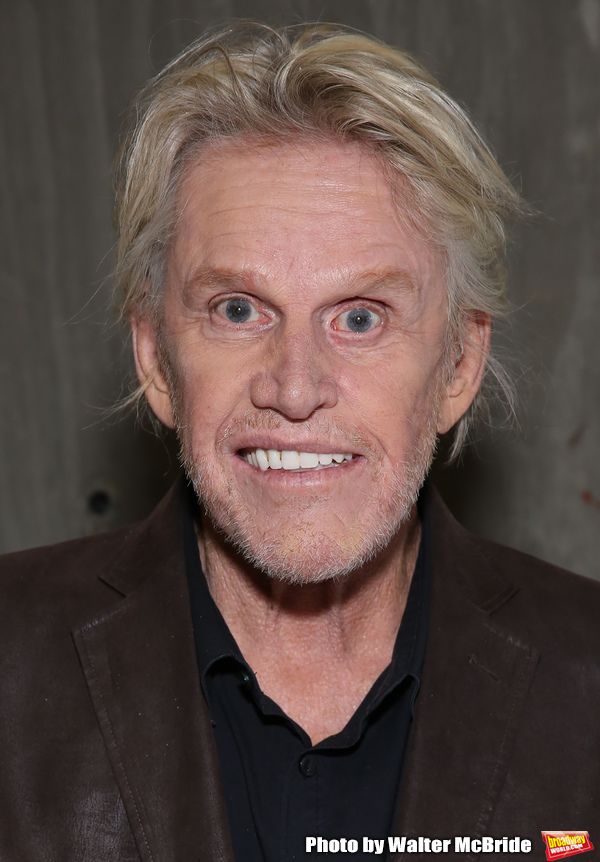Gary Busey Photo