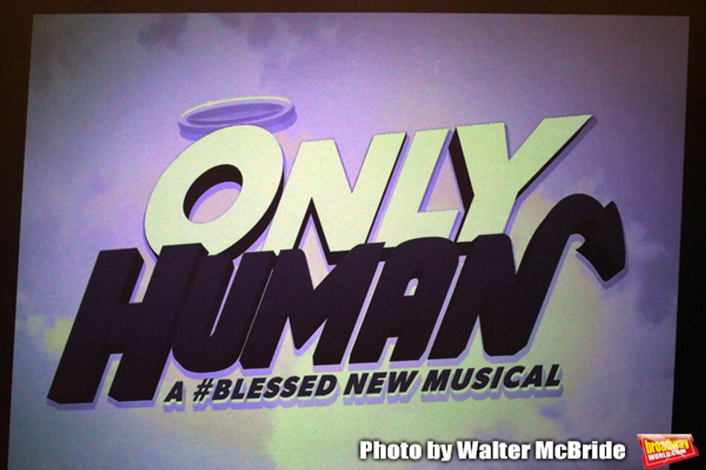 Photo Coverage: Get a Sneak Peek at the New Musical ONLY HUMAN, Starring Gary Busey  Image