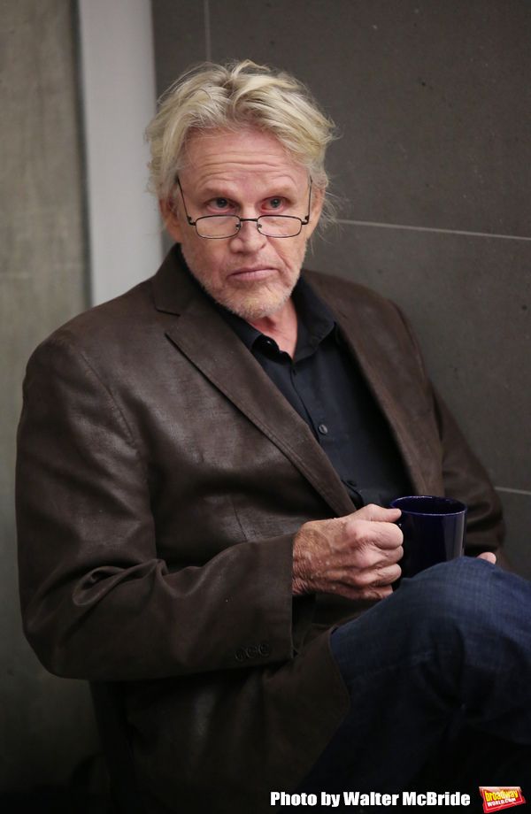 Gary Busey Photo