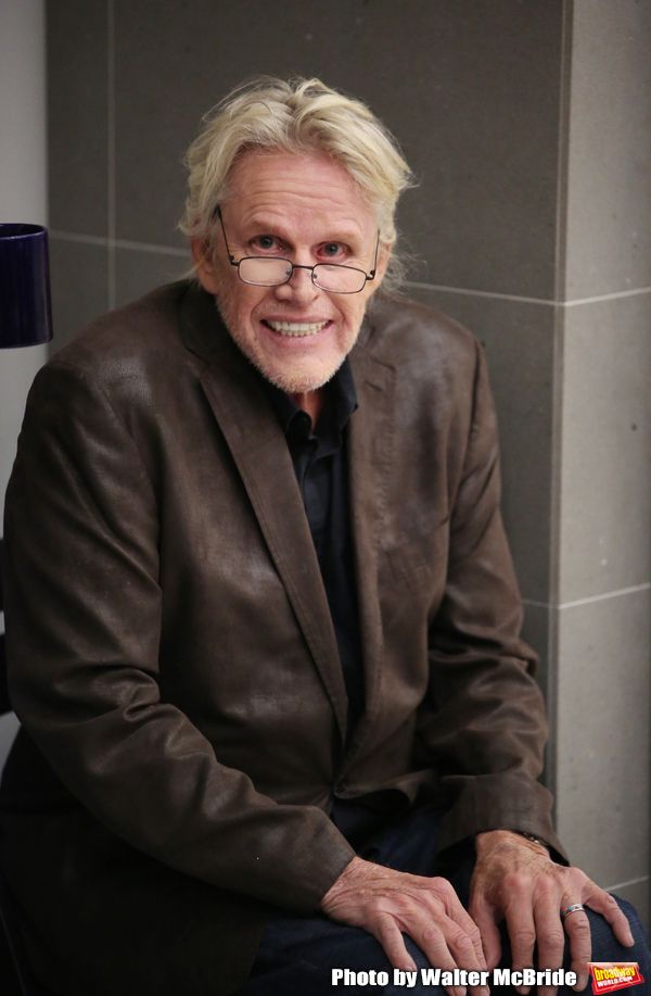 Gary Busey Photo