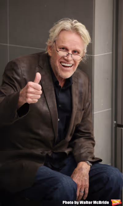 Gary Busey Photo