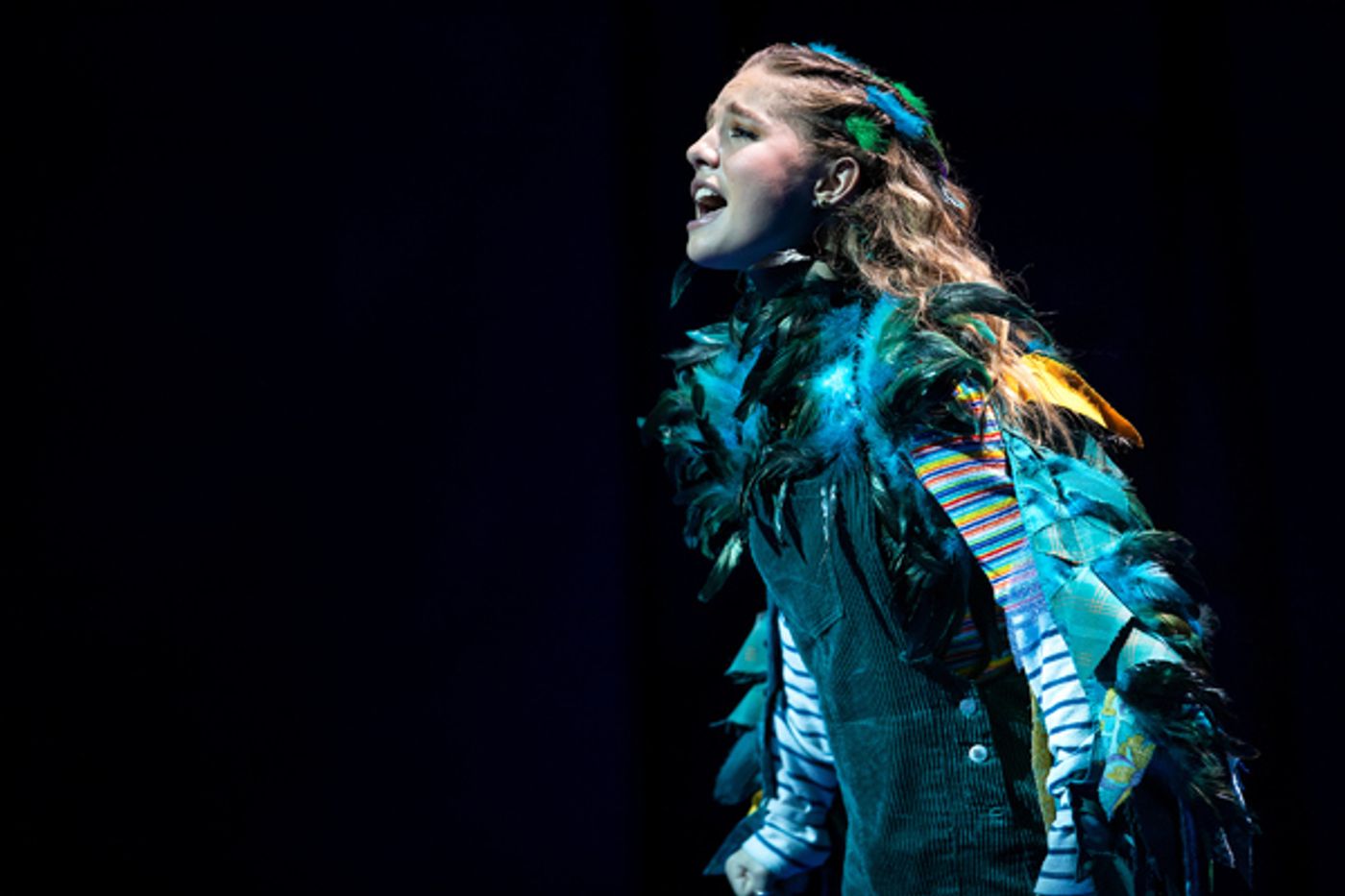 Photo Flash: First Look at the Pre-Broadway Production of FLY MORE THAN YOU FALL  Image