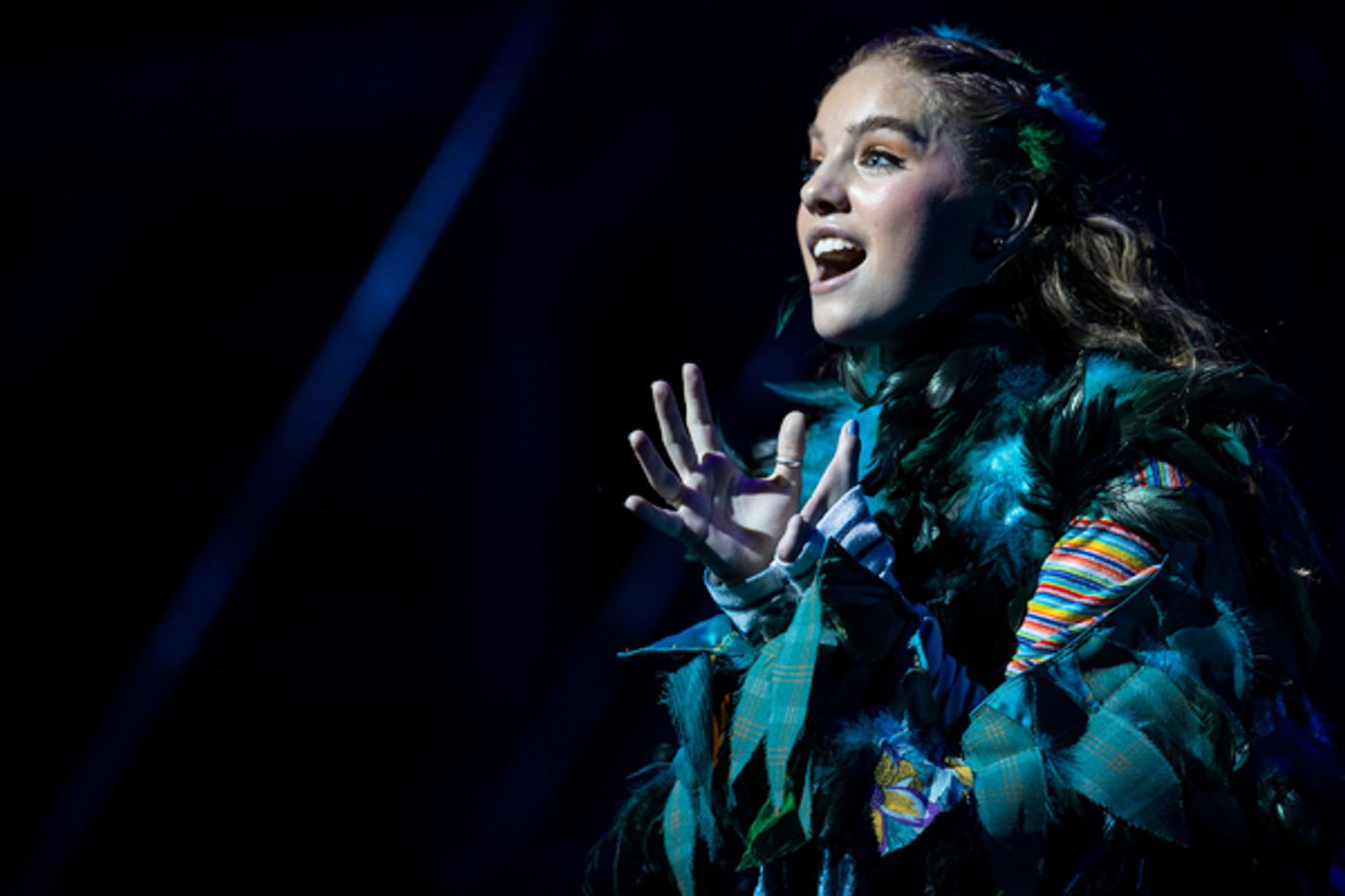 Photo Flash: First Look at the Pre-Broadway Production of FLY MORE THAN YOU FALL  Image