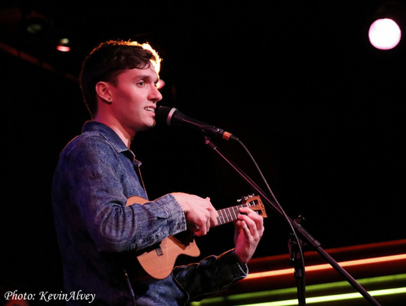 Photo Flash: Andrew Swackhamer Headlines At Birdland  Image