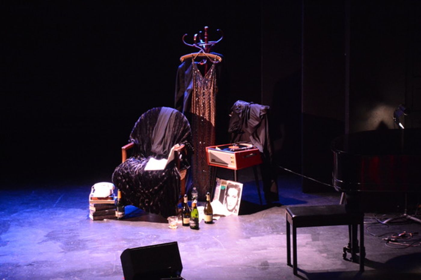 Photo Coverage: Inside Opening Night of Ute Lemper's RENDEZVOUS WITH MARLENE  Image