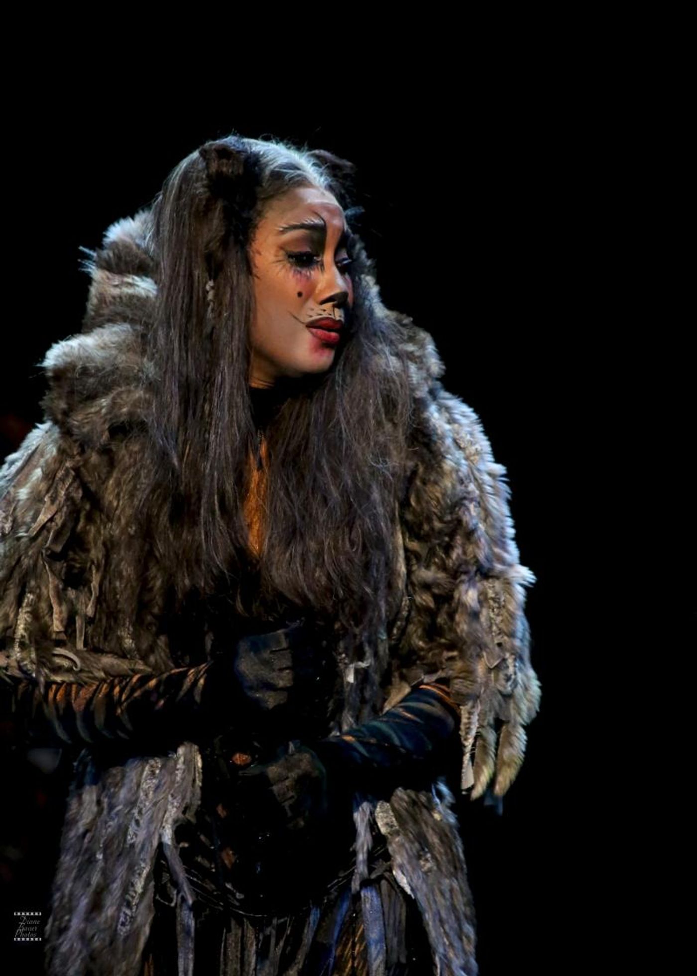 Review: CATS at Ronacher  Image