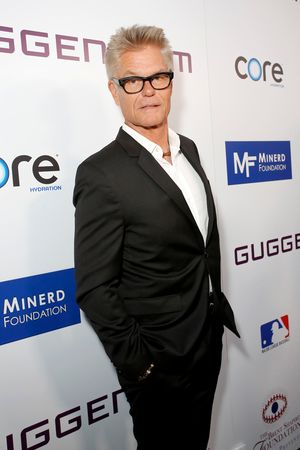 Harry Hamlin Photo