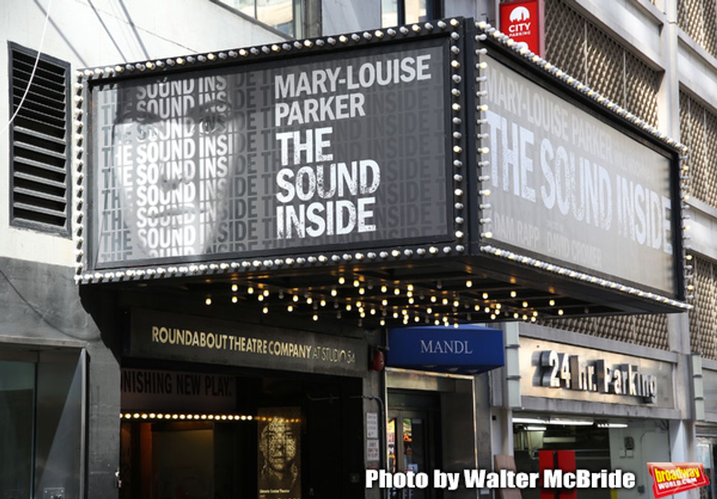 Up On The Marquee: THE SOUND INSIDE Comes to Broadway  Image