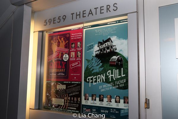 Photo Flash: Michael Tucker's FERN HILL Celebrates Opening Night — photo 15 of 44