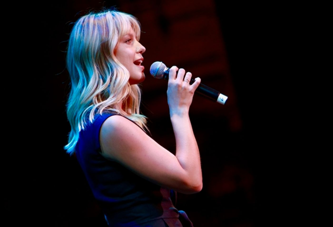 Photo Flash: Behind the Scenes at CONCERT FOR AMERICA  Image