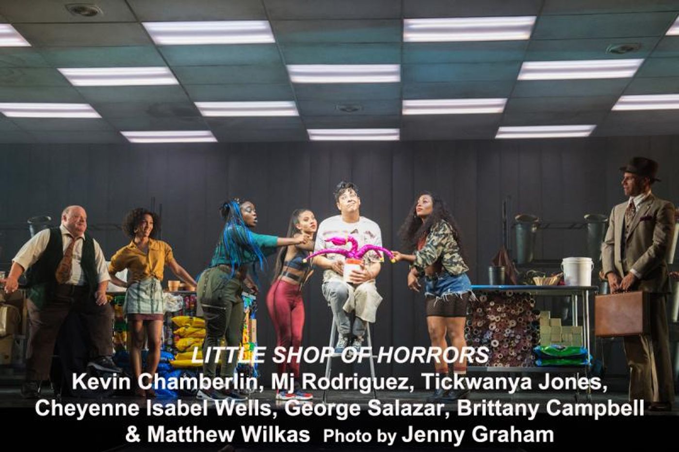 Interview: A Glee-ful Amber Riley From DREAMGIRL Effie To LITTLE SHOP's Audrey II  Image