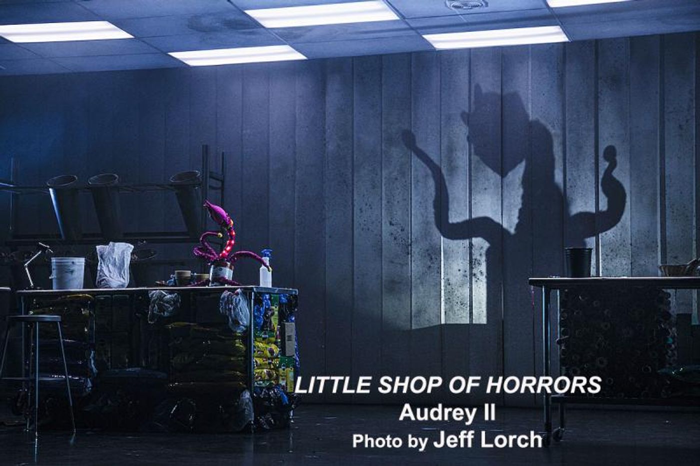 Interview: A Glee-ful Amber Riley From DREAMGIRL Effie To LITTLE SHOP's Audrey II  Image