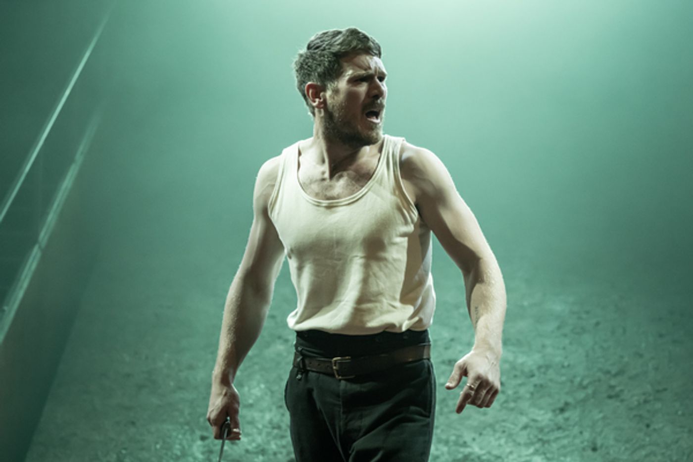 Photo Flash: First Look at Young Vic's BLOOD WEDDING  Image