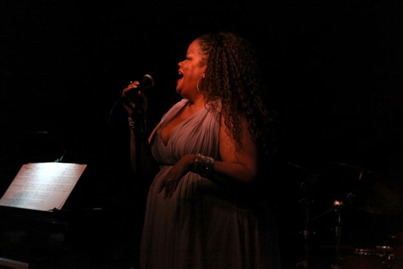 Review: NATALIE DOUGLAS TRIBUTES Continues to Wow at Birdland Review: NATALIE DOUGLAS TRIBUTES Continues to Wow at Birdland Image