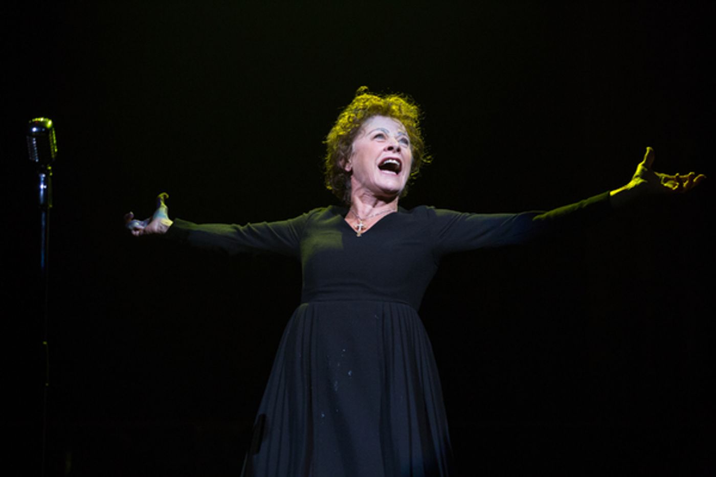 Photo Flash: First Look At PIAF/DIETRICH, A LEGENDARY AFFAIR  Image