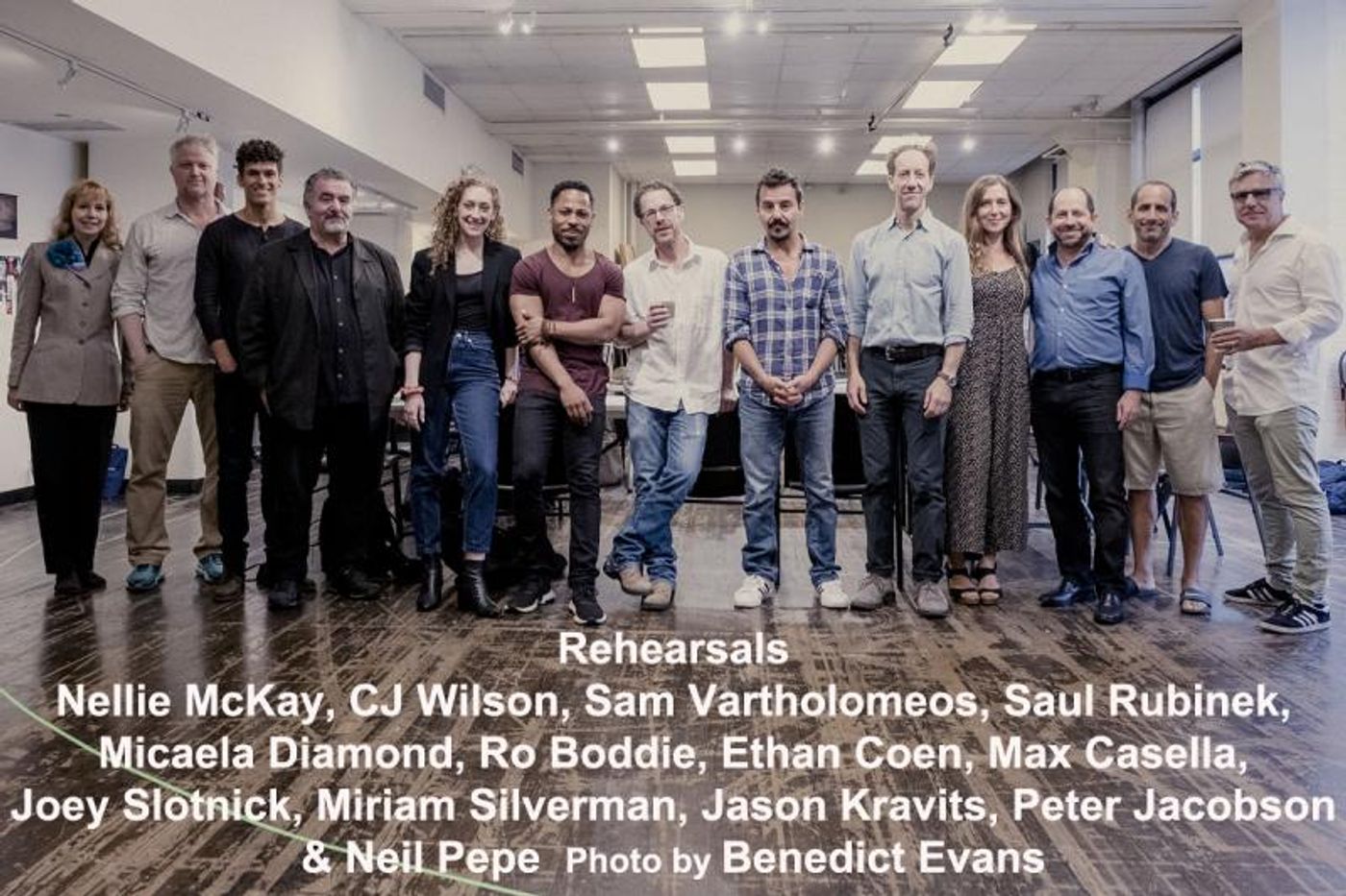 Interview: A PLAY IS A POEM's Peter Jacobson - From Seedy Nightclub Owner & Wily Film Exec to Iago & Richard III  Image