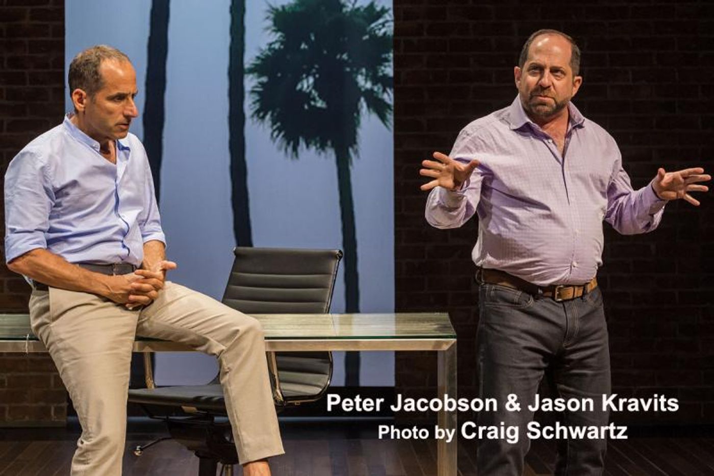 Interview: A PLAY IS A POEM's Peter Jacobson - From Seedy Nightclub Owner & Wily Film Exec to Iago & Richard III  Image