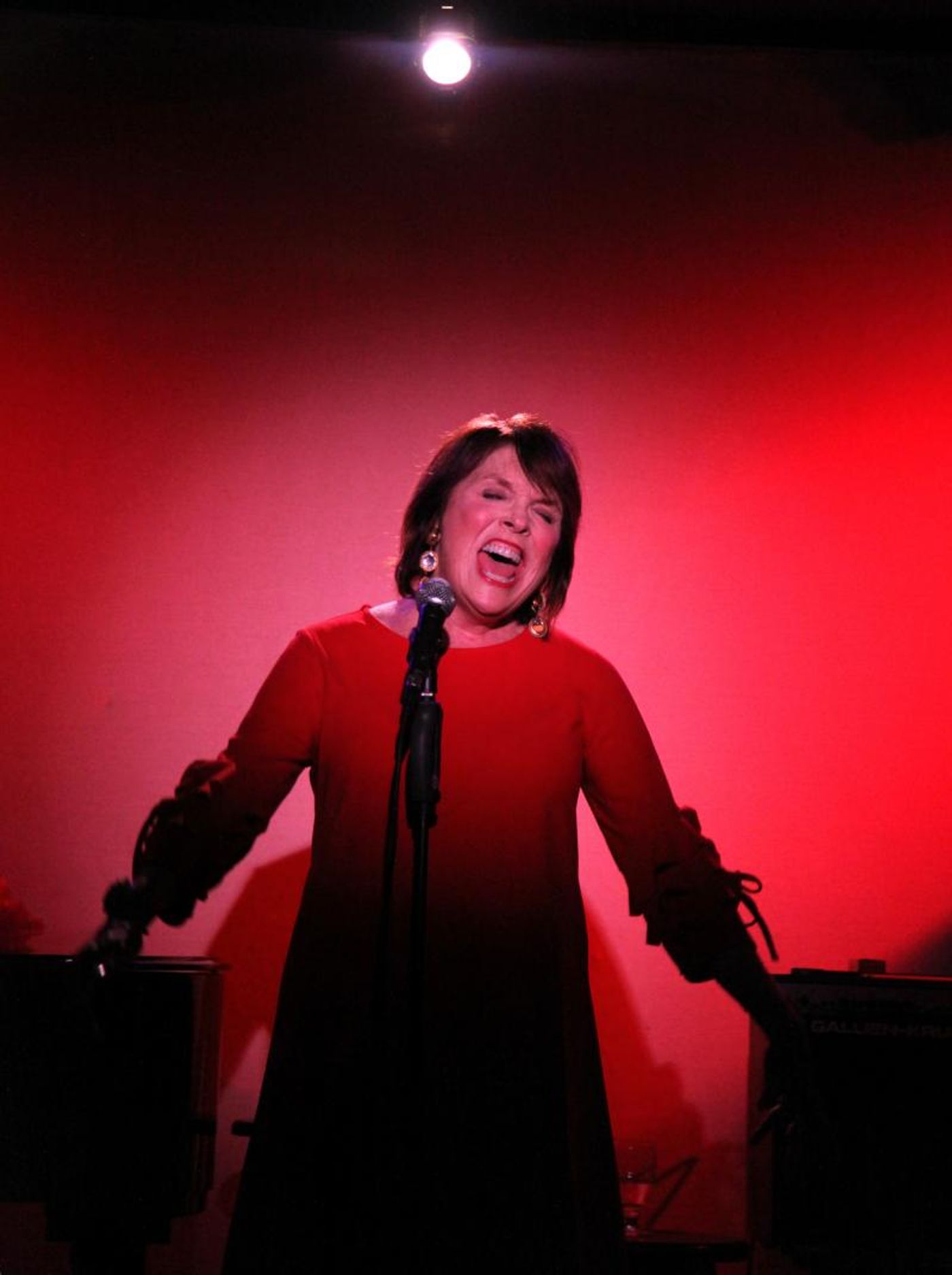 Review: LESLIE OROFINO SHINE! Does Just That at Don't Tell Mama Review: LESLIE OROFINO SHINE! Does Just That at Don't Tell Mama Image