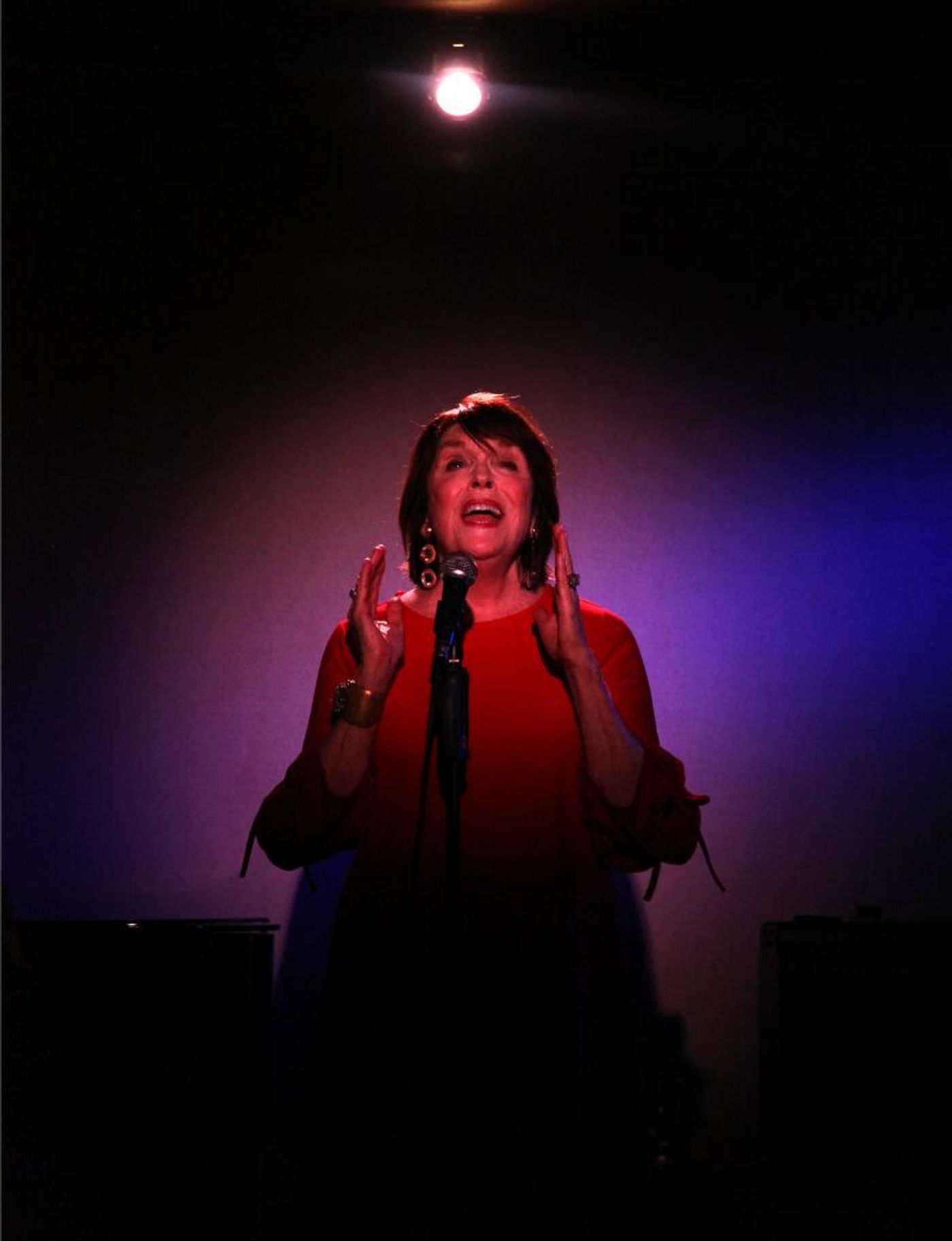 Review: LESLIE OROFINO SHINE! Does Just That at Don't Tell Mama Review: LESLIE OROFINO SHINE! Does Just That at Don't Tell Mama Image